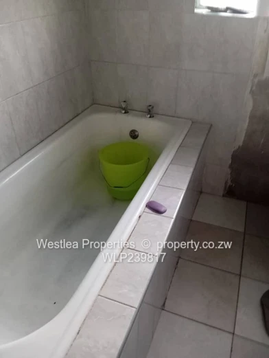 An opportunity not to miss