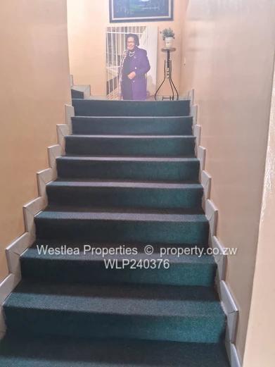 An opportunity not to miss