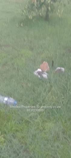 An opportunity not to miss