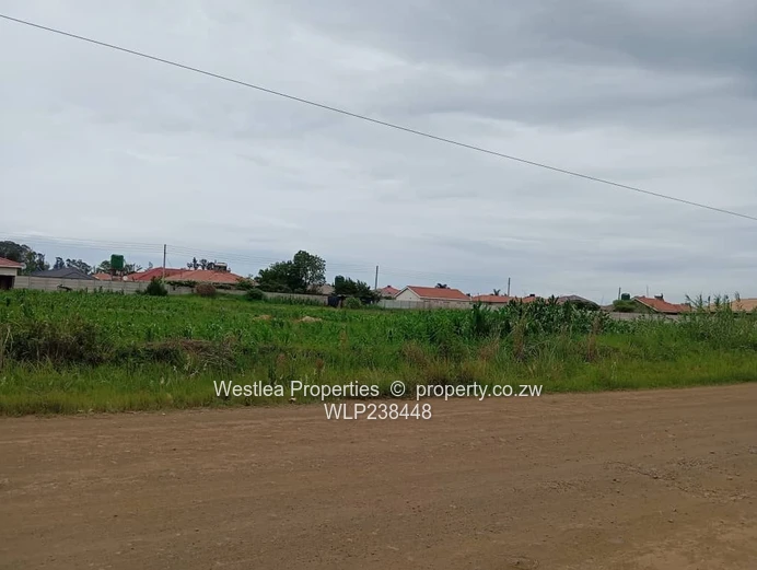 An opportunity not to miss