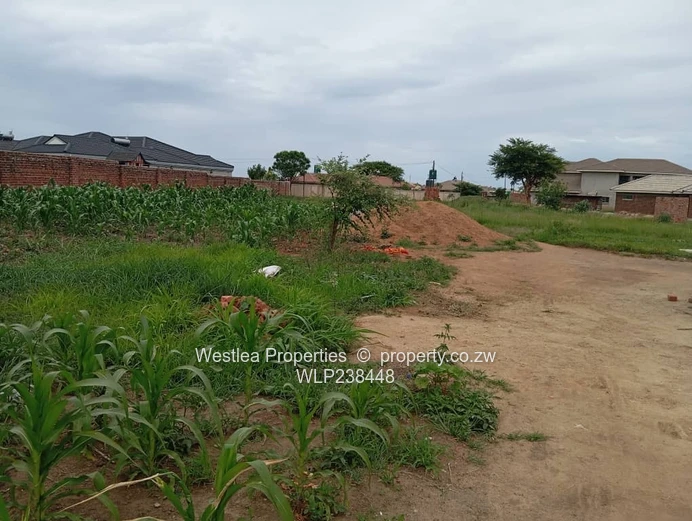 An opportunity not to miss