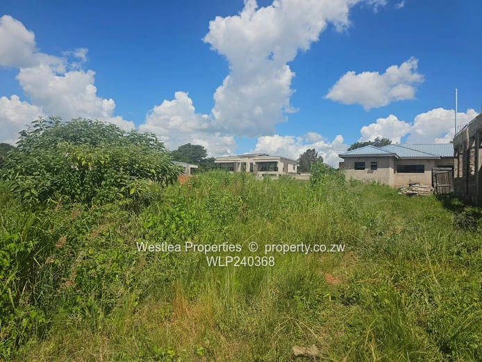 An opportunity not to miss