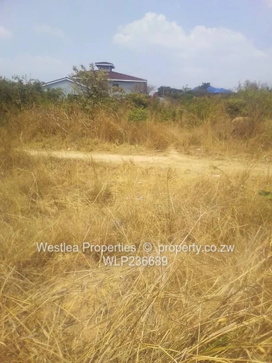 An opportunity not to miss