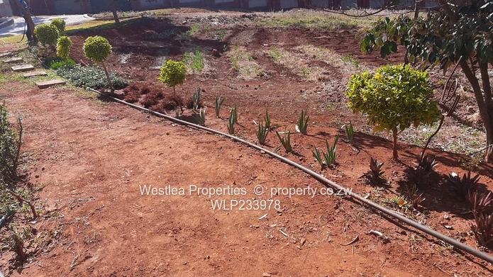 An opportunity not to miss