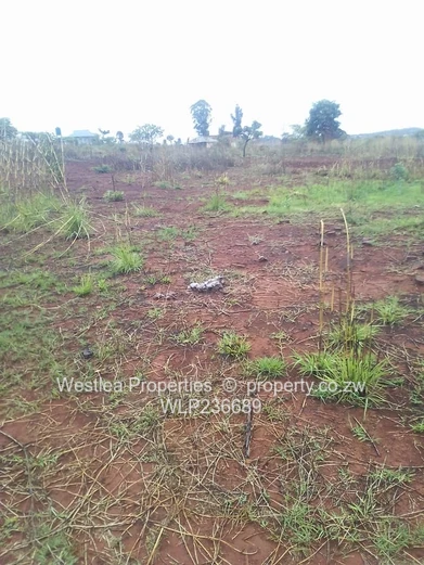 An opportunity not to miss