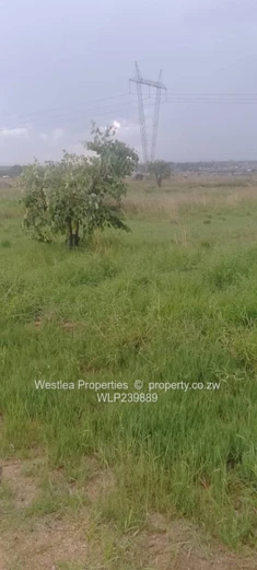 An opportunity not to miss