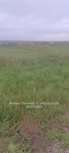 An opportunity not to miss