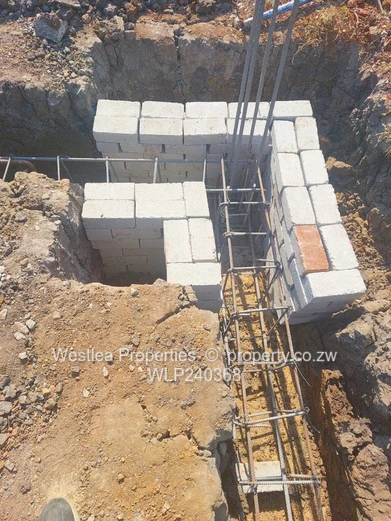 An opportunity not to miss