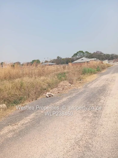 An opportunity not to miss