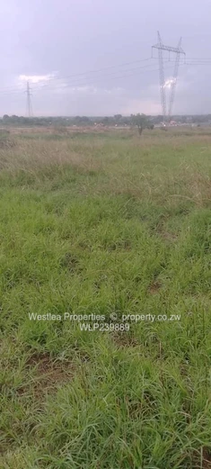 An opportunity not to miss