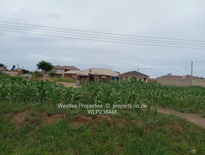 An opportunity not to miss