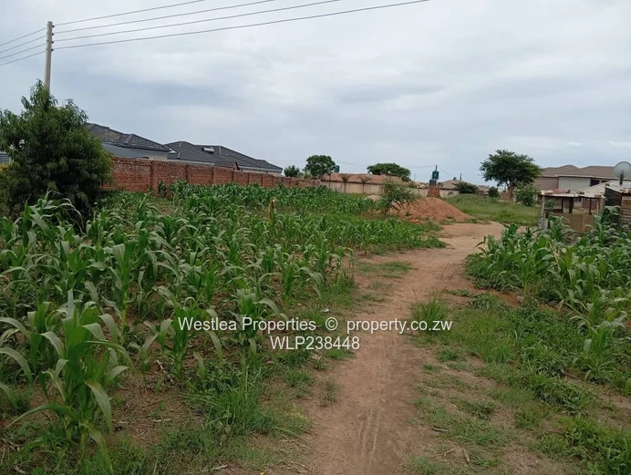 An opportunity not to miss