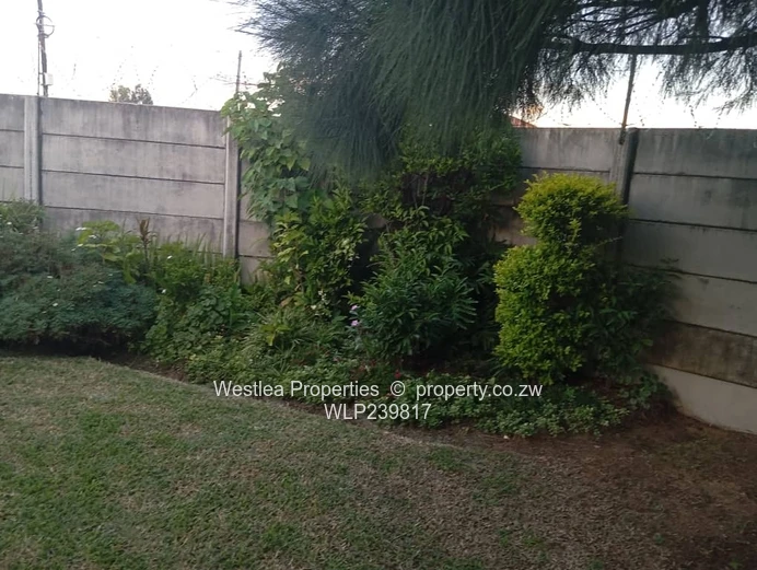 An opportunity not to miss