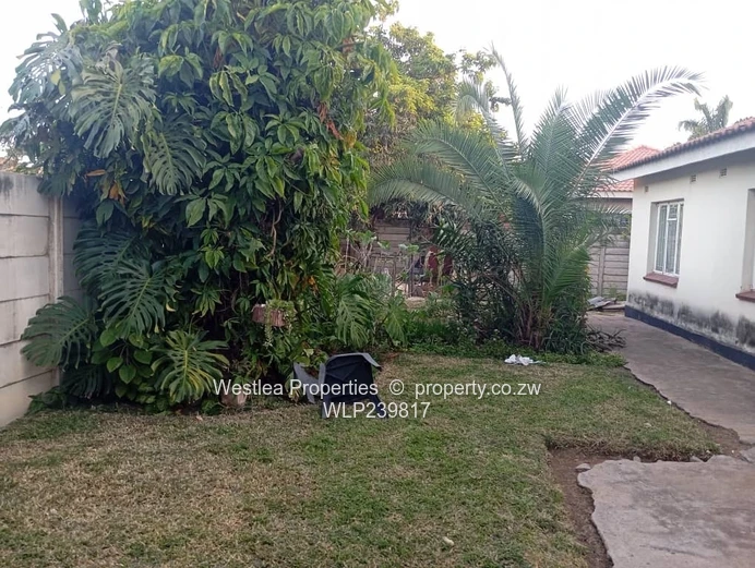 An opportunity not to miss