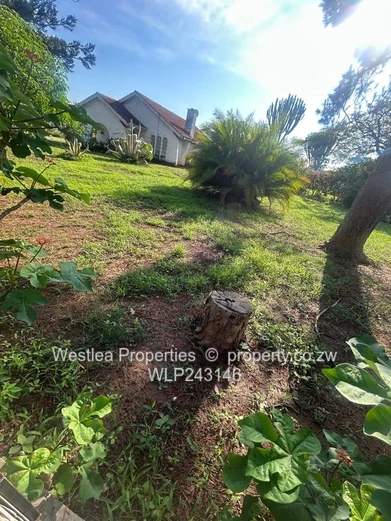 An opportunity not to miss