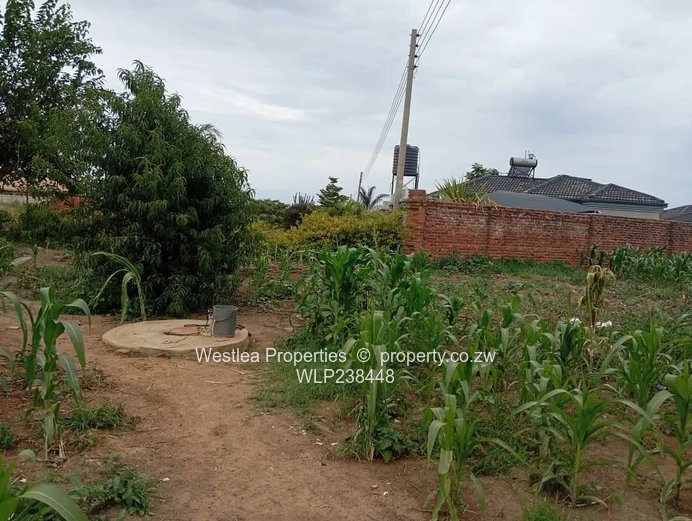 An opportunity not to miss