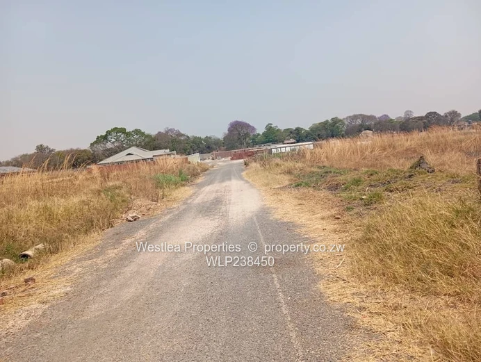 An opportunity not to miss