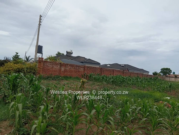 An opportunity not to miss