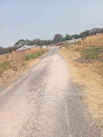 An opportunity not to miss