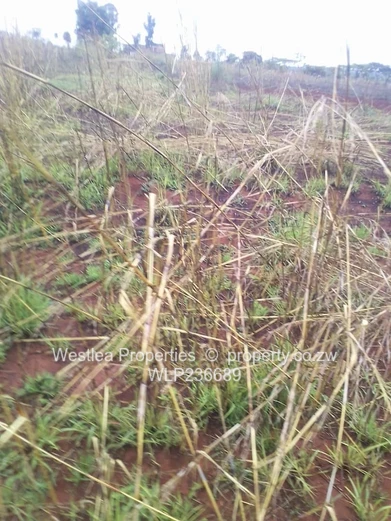 An opportunity not to miss