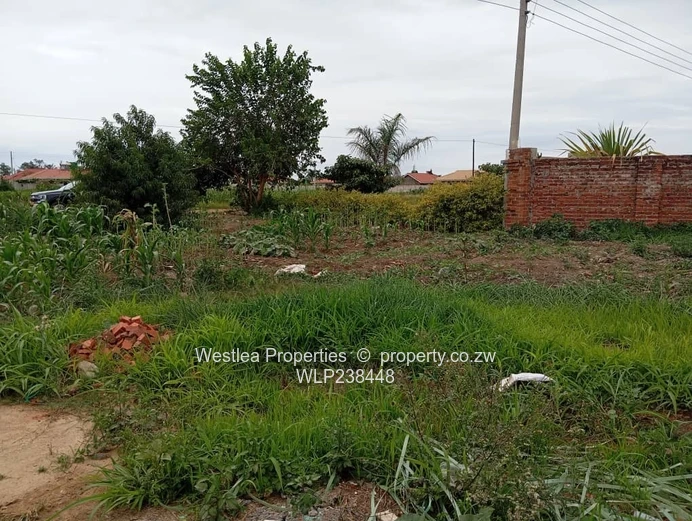 An opportunity not to miss