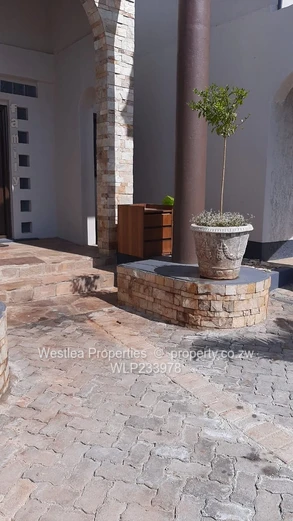 An opportunity not to miss